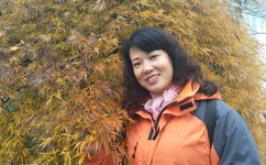 有车车的腐肉动画网入口